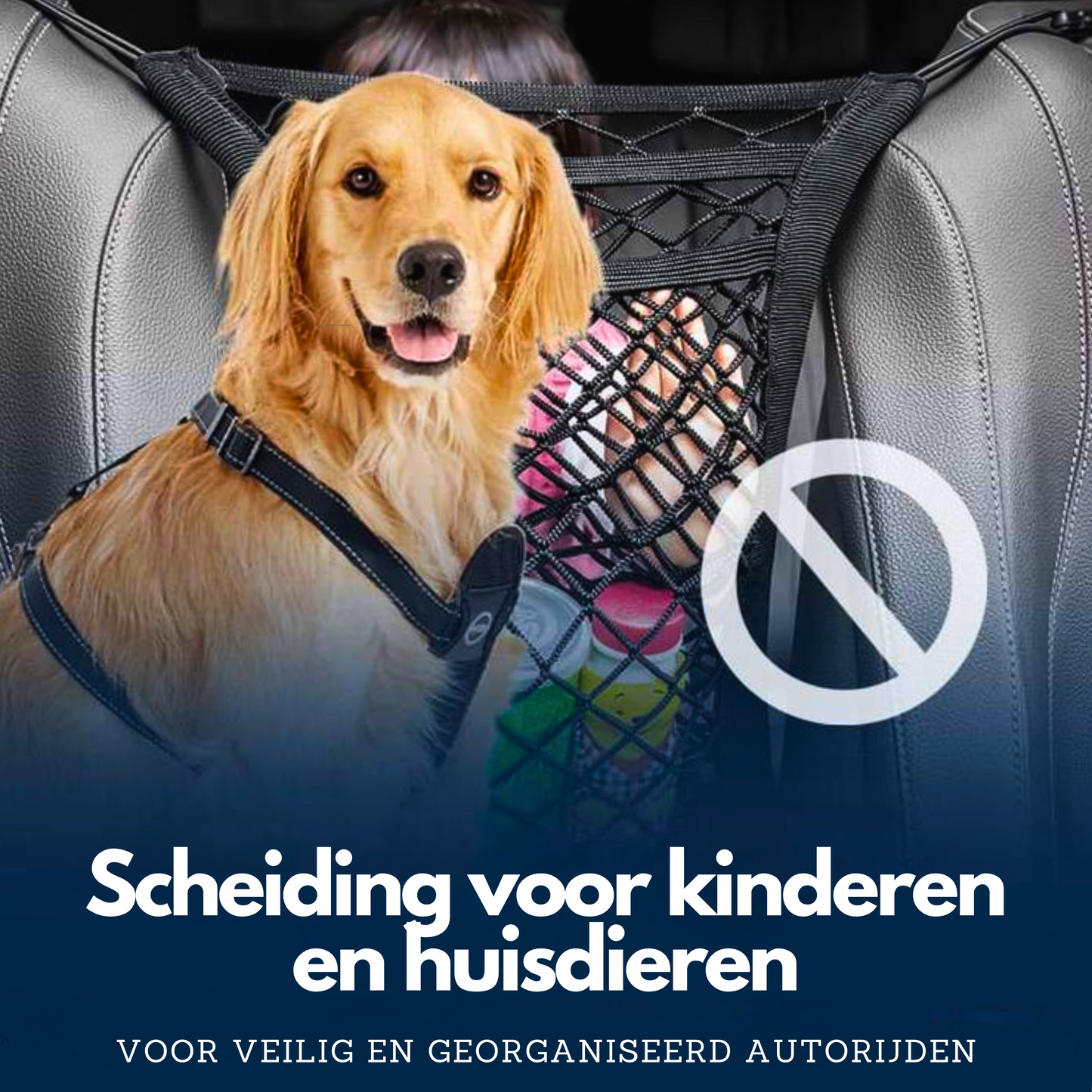DriveGuard | Veilig en ongestoord autorijden