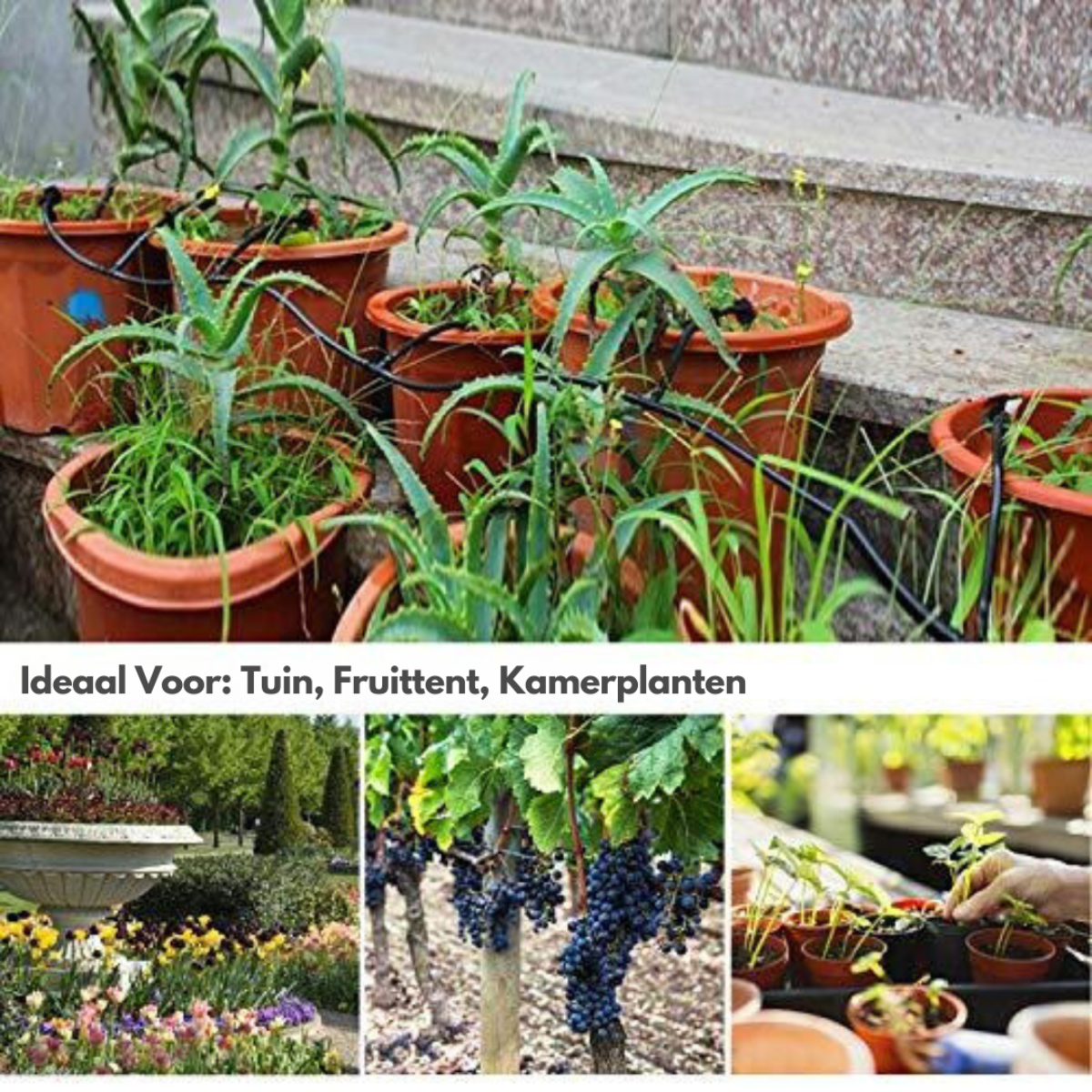 CoolMist Automatic Irrigation