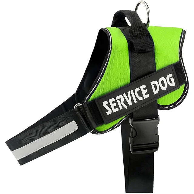 PawFit Gepersonaliseerde Hondenriem