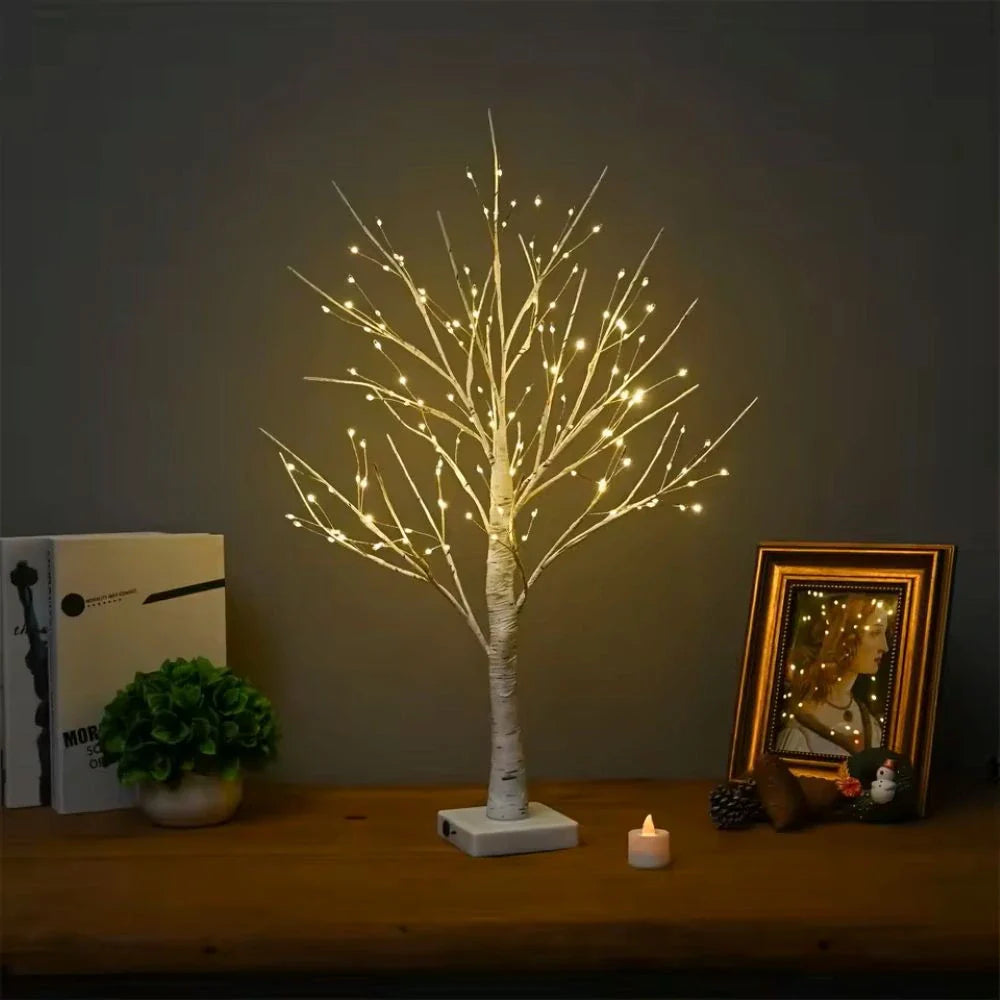 Noordse Berkenboom Licht