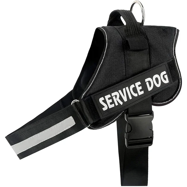 PawFit Gepersonaliseerde Hondenriem