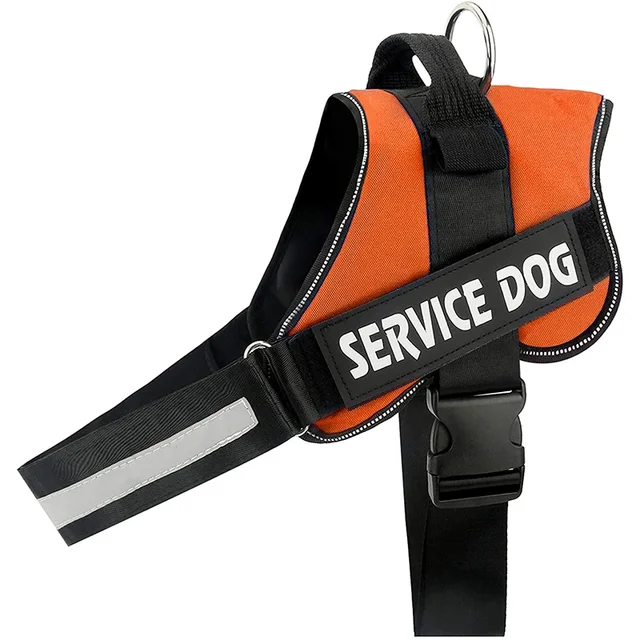 PawFit Gepersonaliseerde Hondenriem