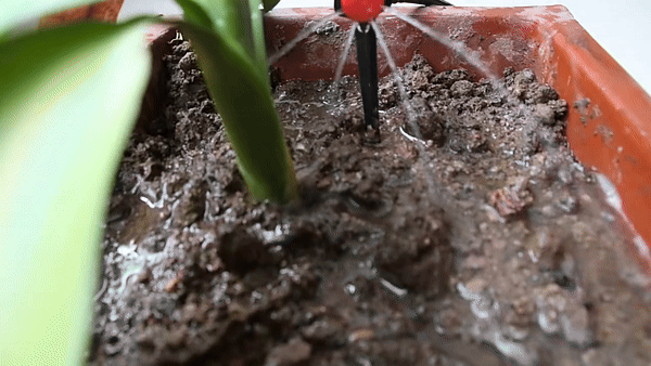 CoolMist Automatic Irrigation
