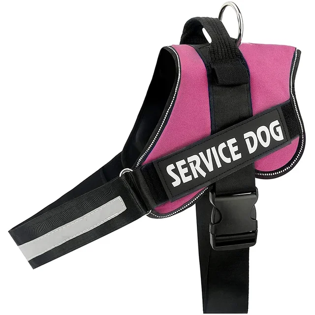 PawFit Gepersonaliseerde Hondenriem