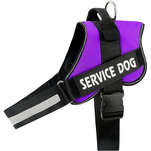 PawFit Gepersonaliseerde Hondenriem