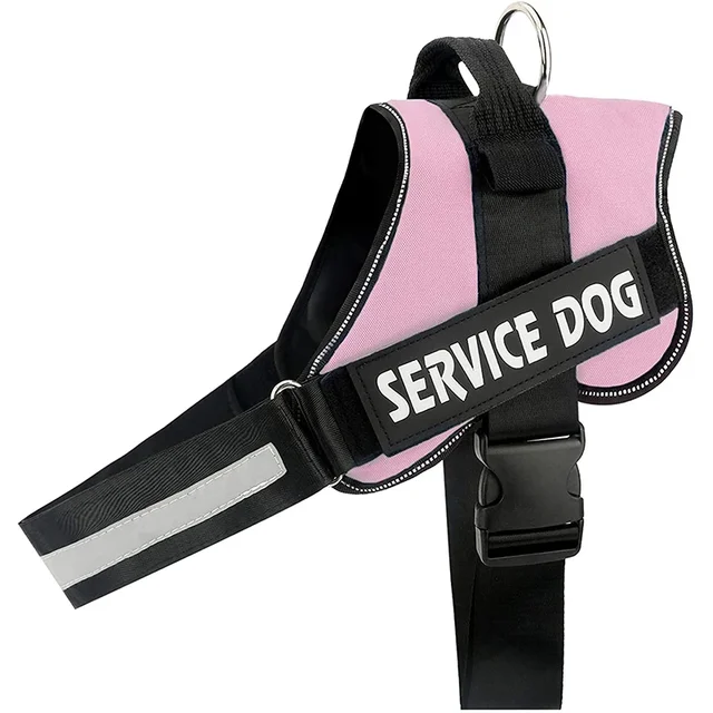 PawFit Gepersonaliseerde Hondenriem