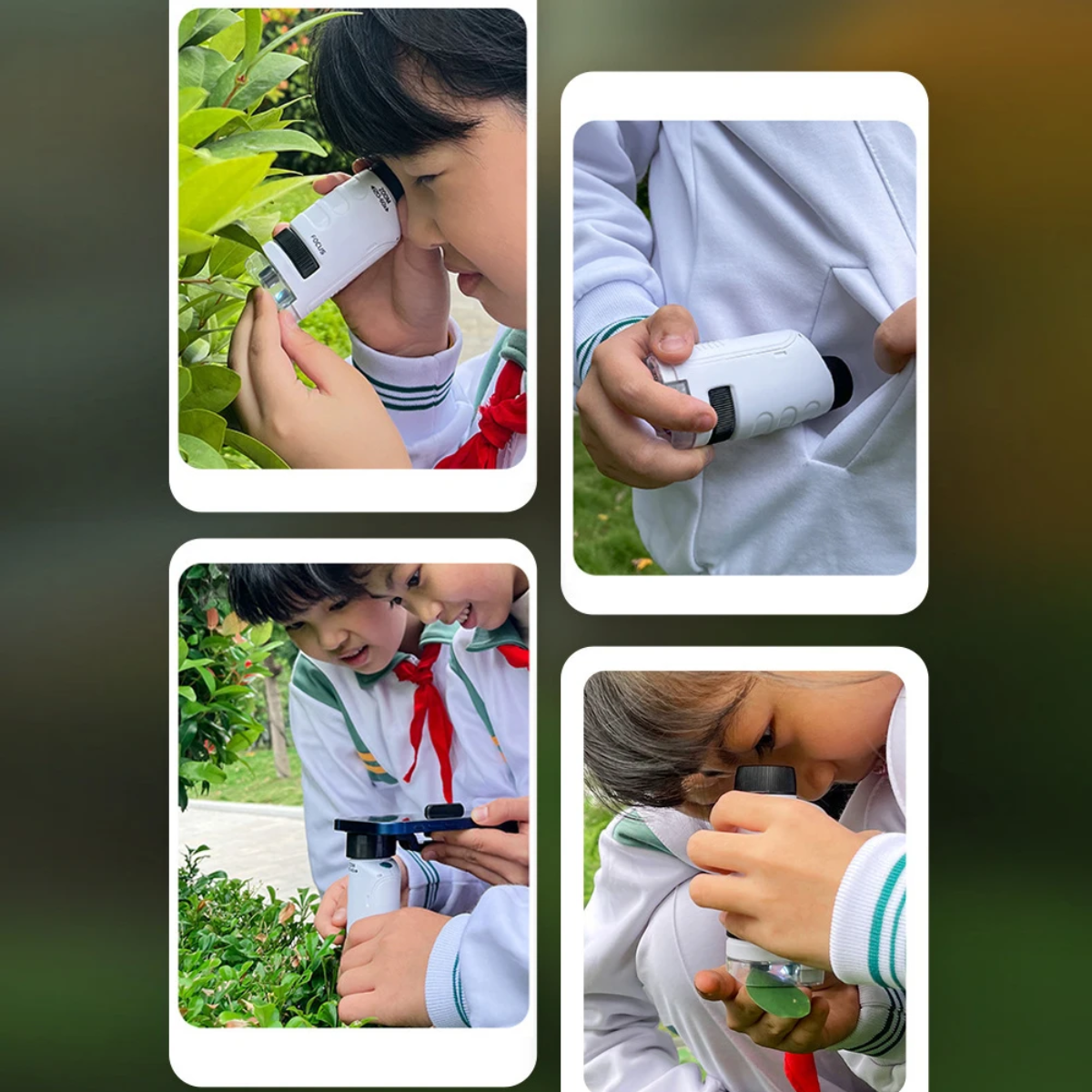 De WonderScope Microscoop Voor Kinderen