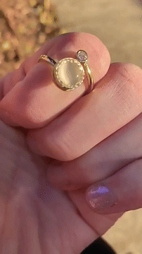 Luna Fidget Ring
