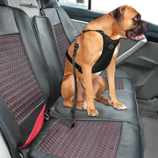 PetBuckle Honden Veiligheidsriem