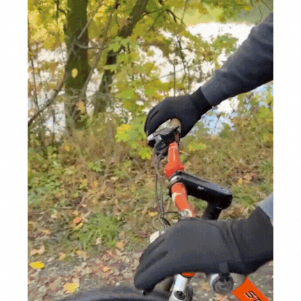 PolarGrip Thermische Handschoenen