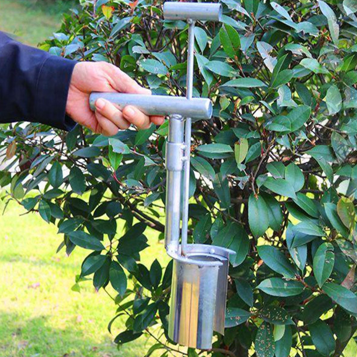 EasySeedling Transplanter Pro