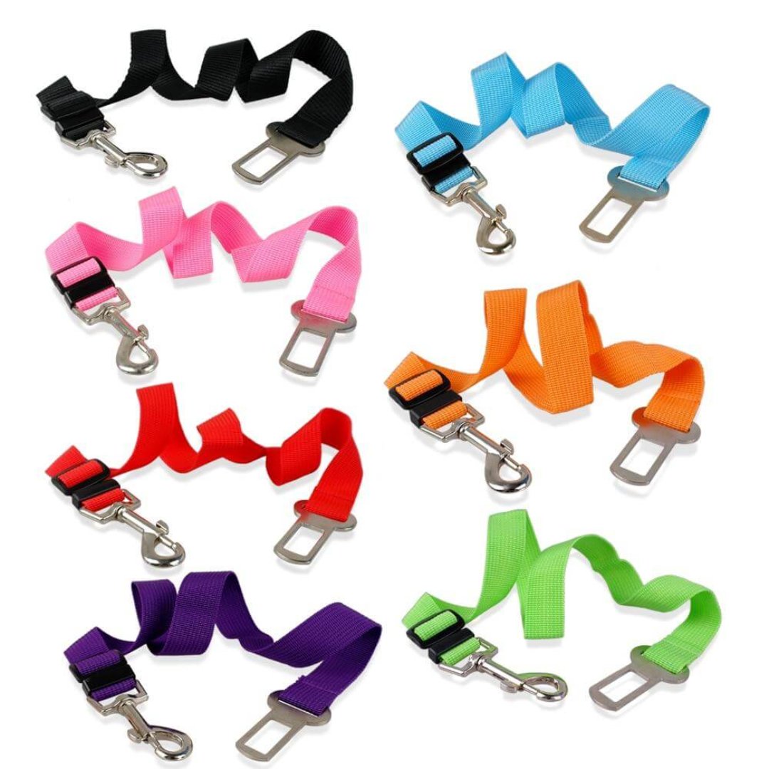 PetBuckle Honden Veiligheidsriem