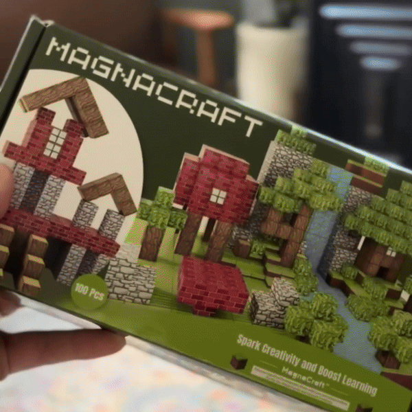 SmartCraft Magnetische Bouwblokken (100 stuks)