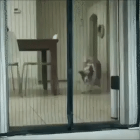 InsectShield Door Screen