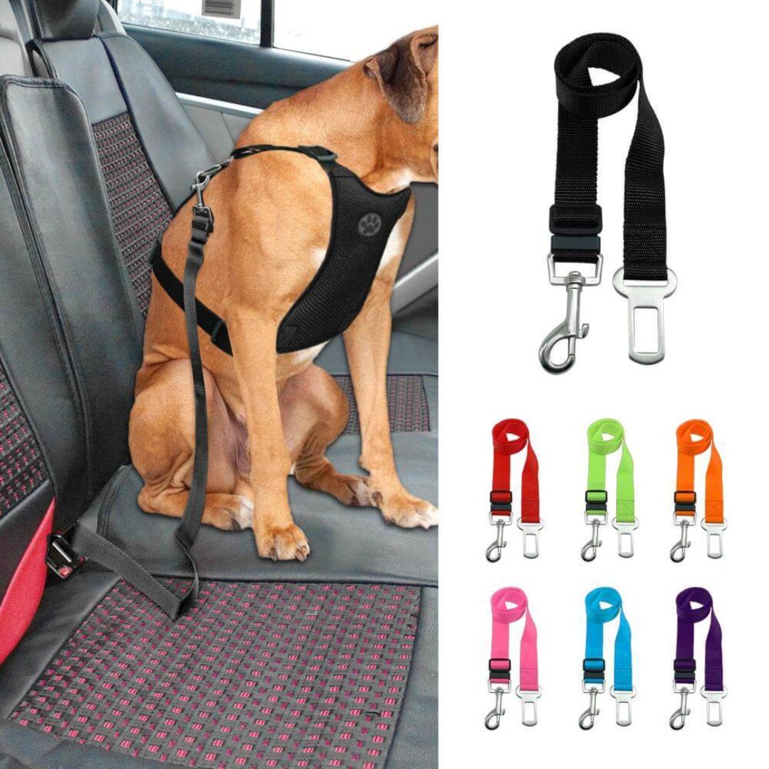PetBuckle Honden Veiligheidsriem