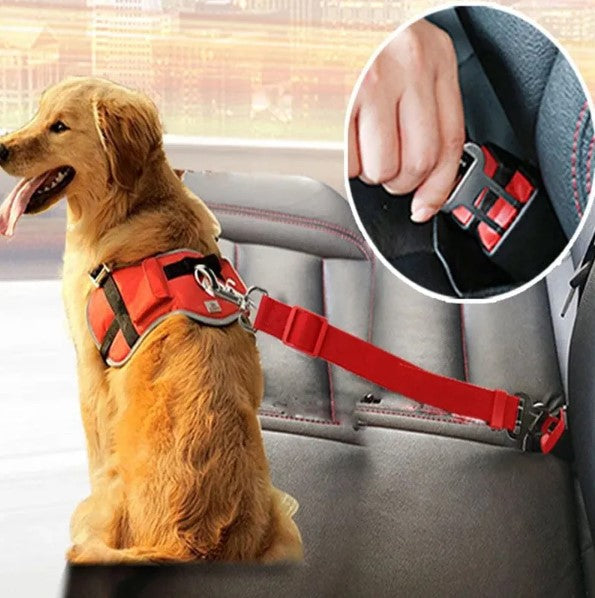 PetBuckle Honden Veiligheidsriem