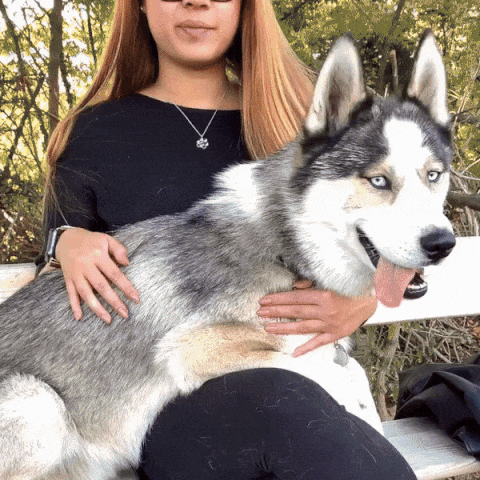 FurEverCharm Herinneringsketting