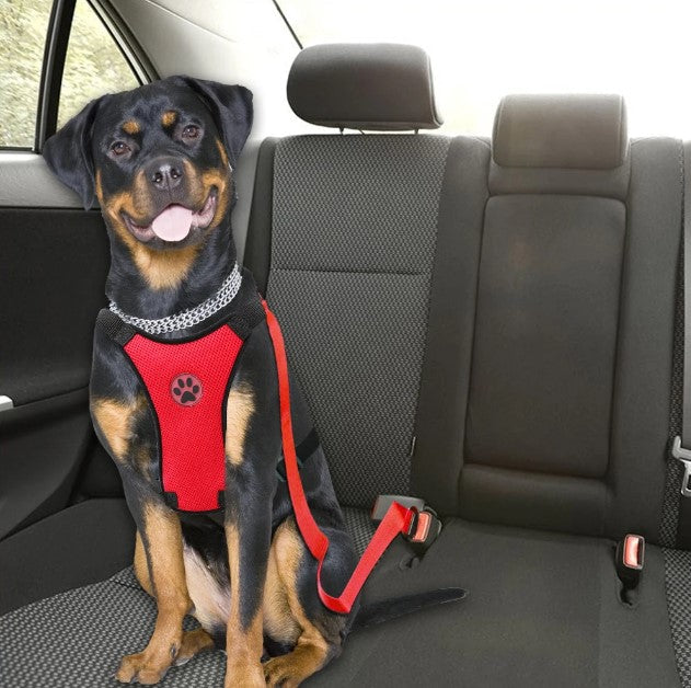 PetBuckle Honden Veiligheidsriem