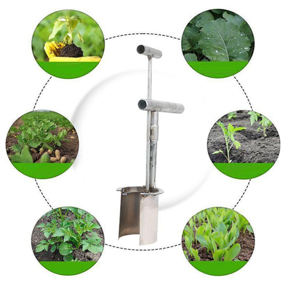 EasySeedling Transplanter Pro
