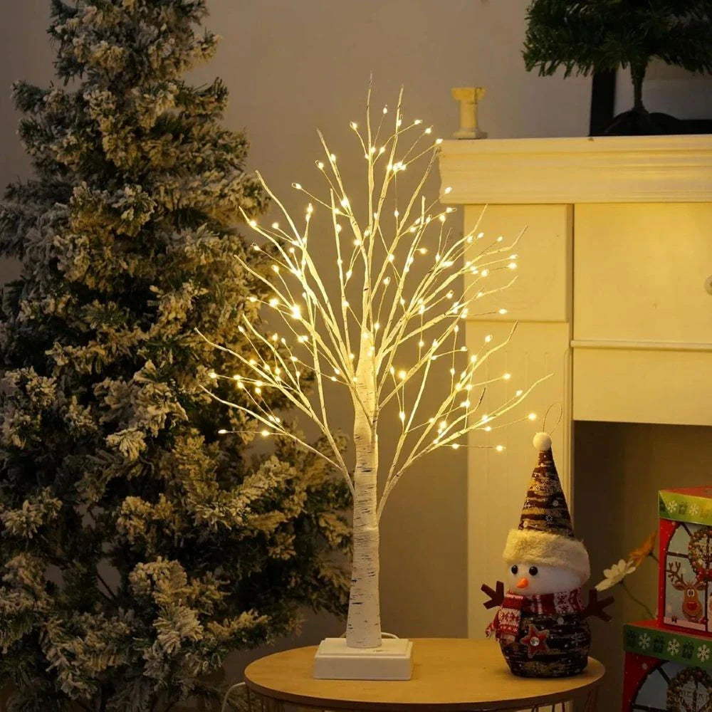 Noordse Berkenboom Licht