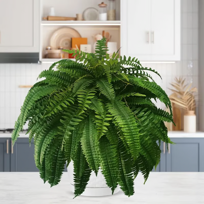 🔥Laatste Dag 75% Korting--🌿UV Bestendige Levensechte Kunstmatige Boston Varens