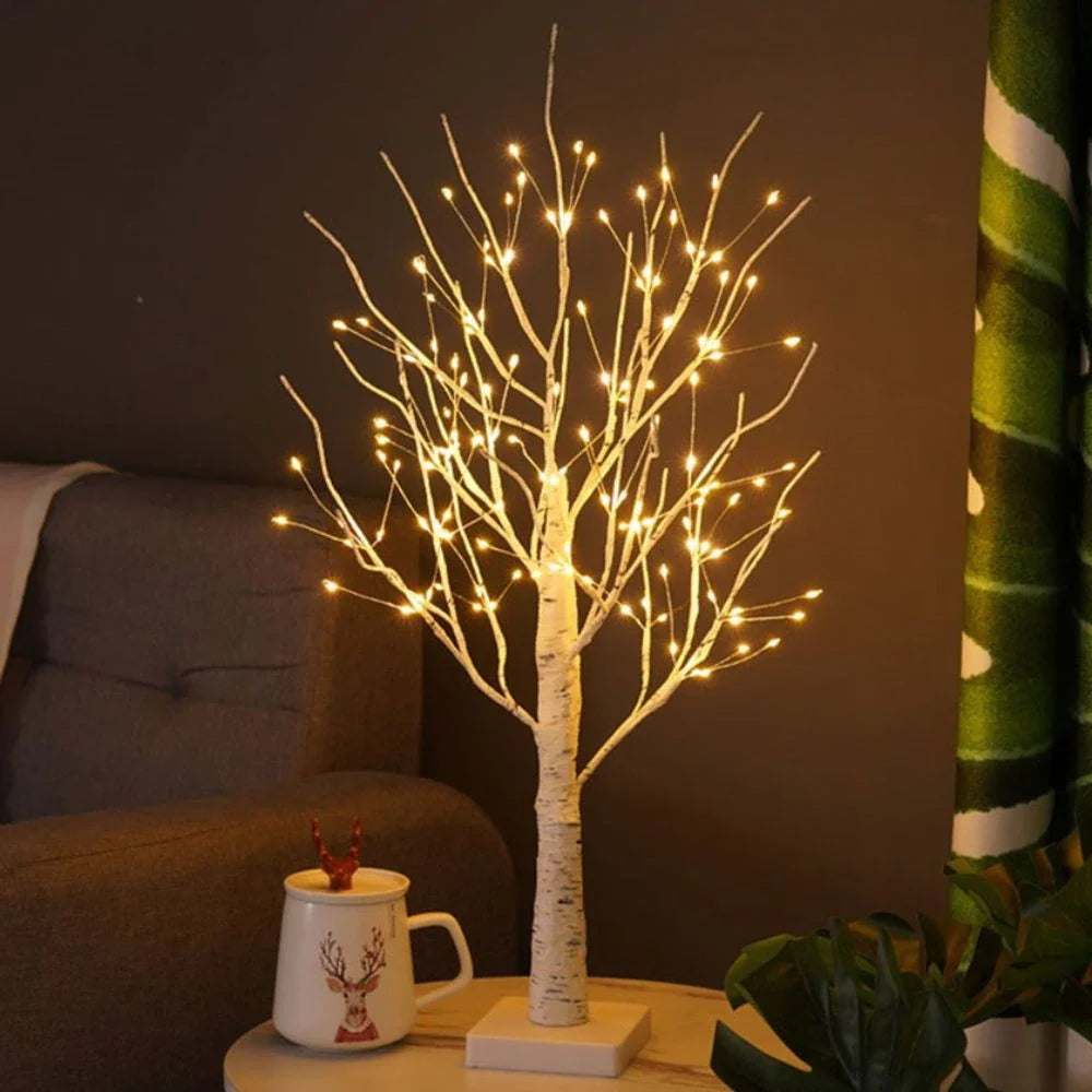 Noordse Berkenboom Licht