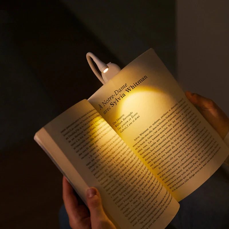 Boek Leestlicht