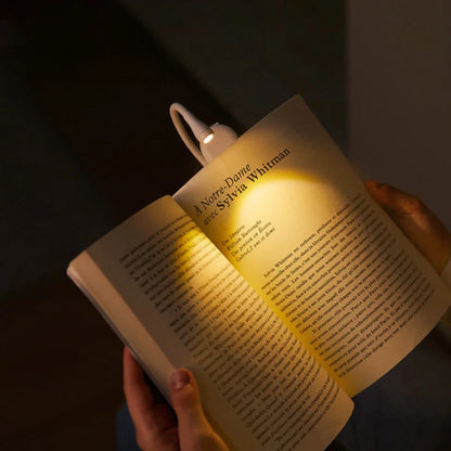 Boek Leestlicht