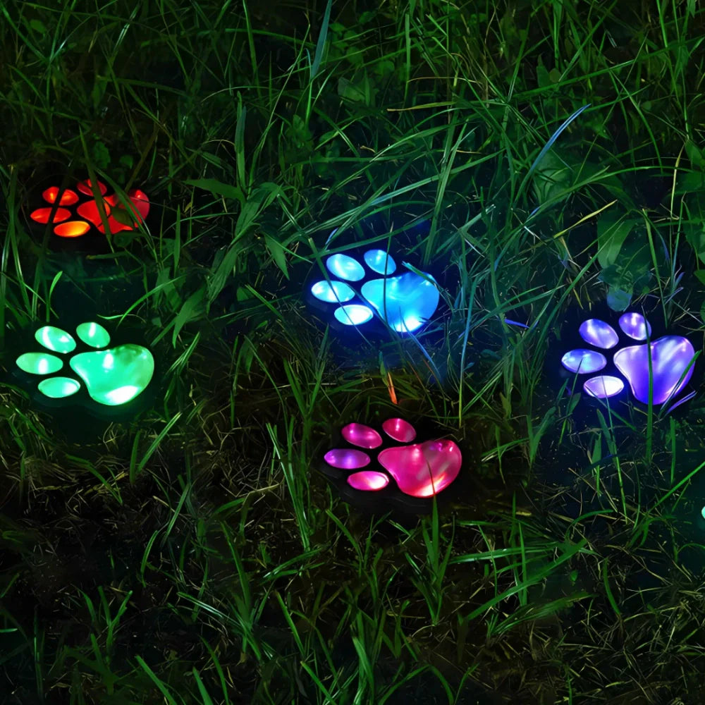 PawGlow