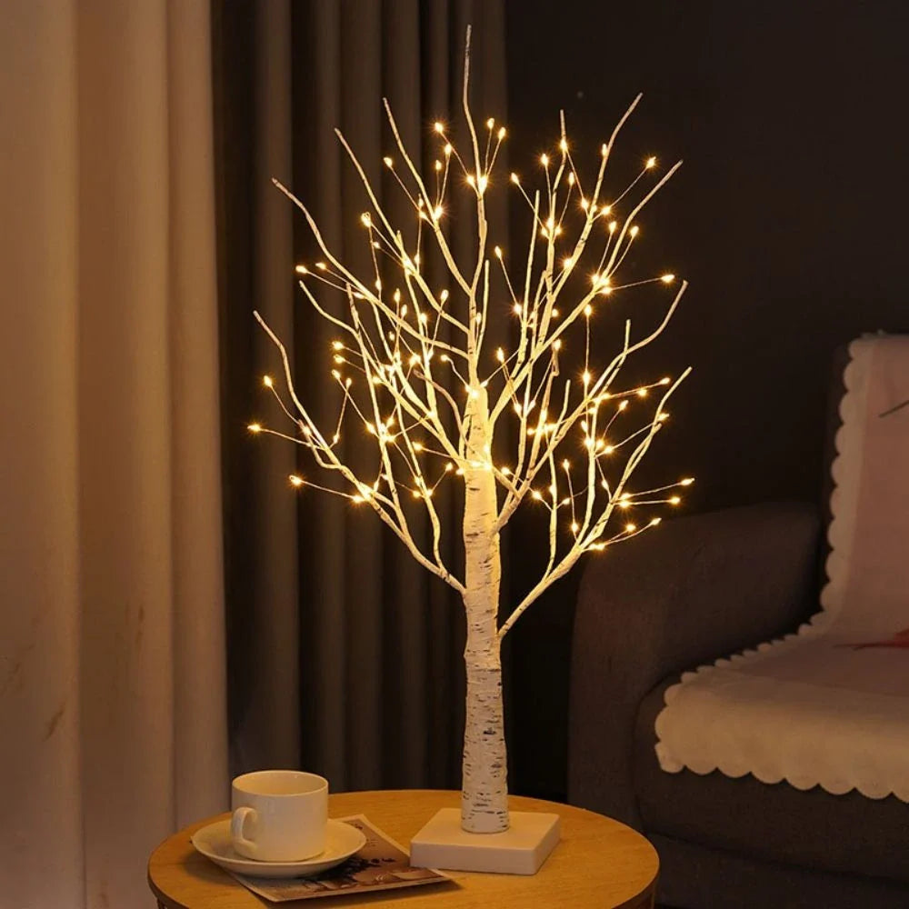 Noordse Berkenboom Licht
