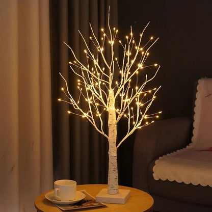 Noordse Berkenboom Licht