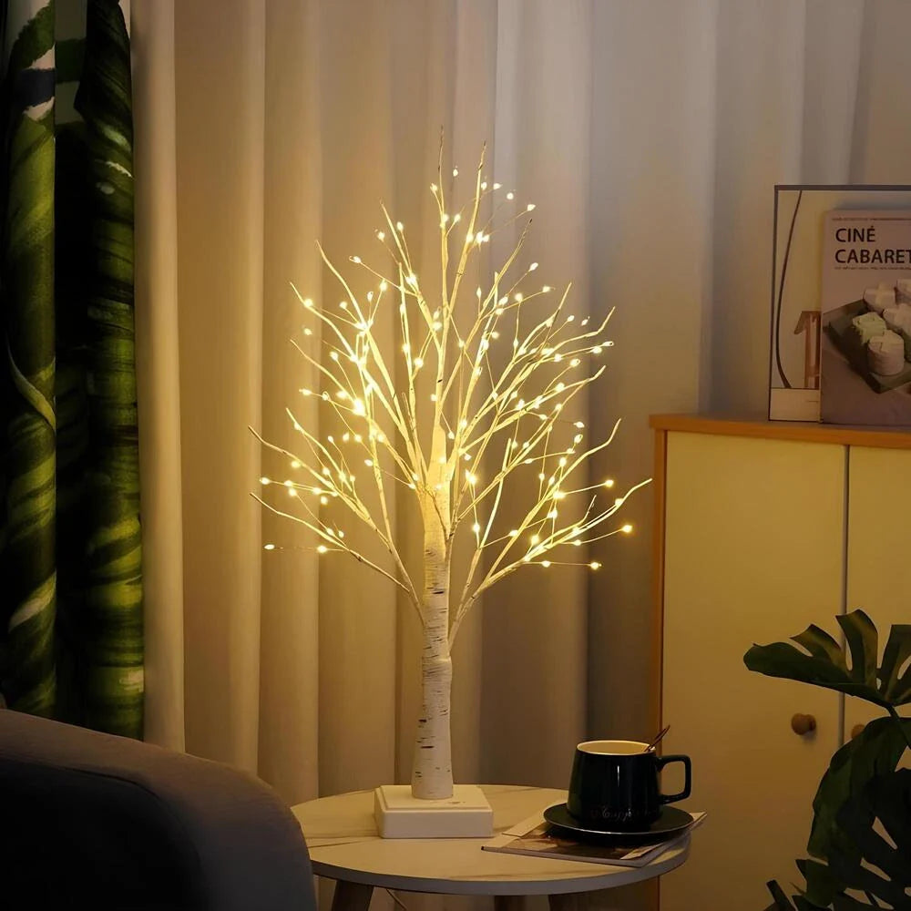 Noordse Berkenboom Licht