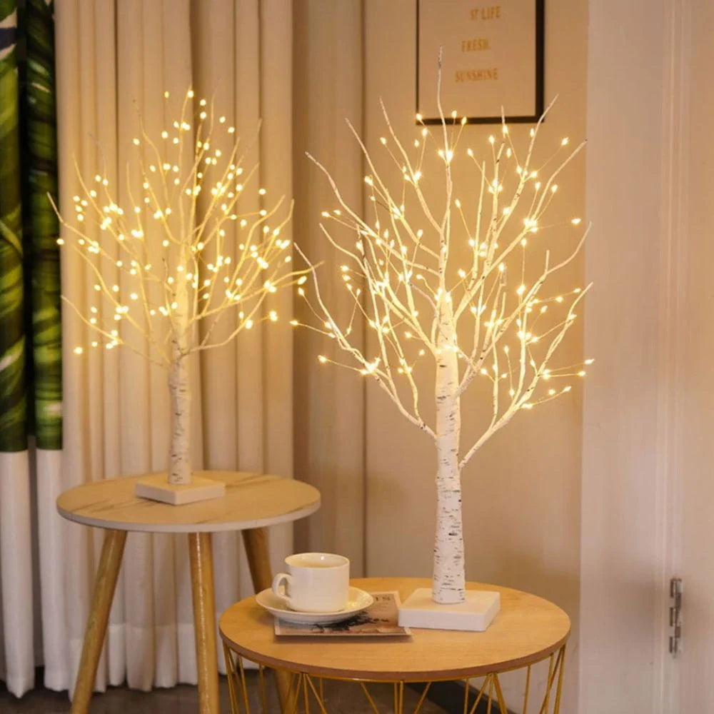 Noordse Berkenboom Licht