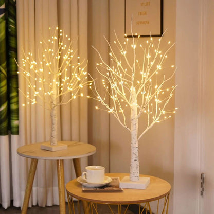 Noordse Berkenboom Licht
