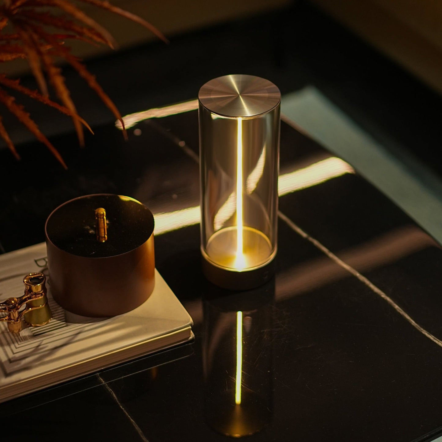 LightRay Illuminator