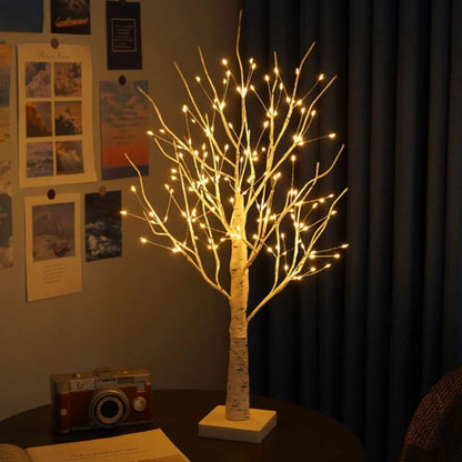 Noordse Berkenboom Licht