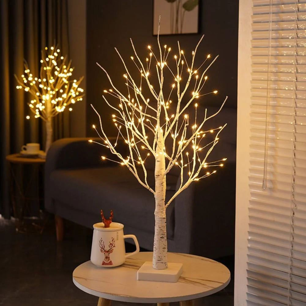 Noordse Berkenboom Licht