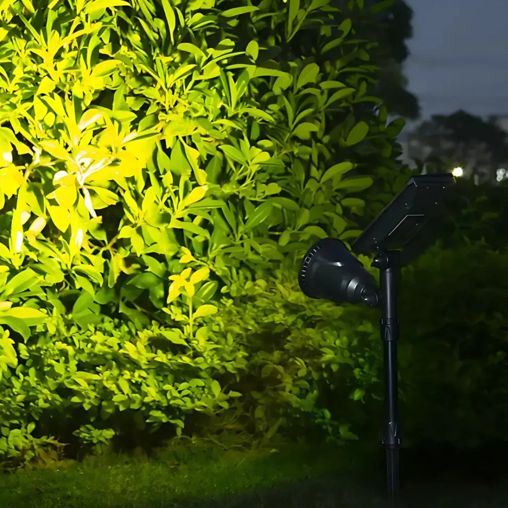 Zonne-energie Tuin Spotlicht
