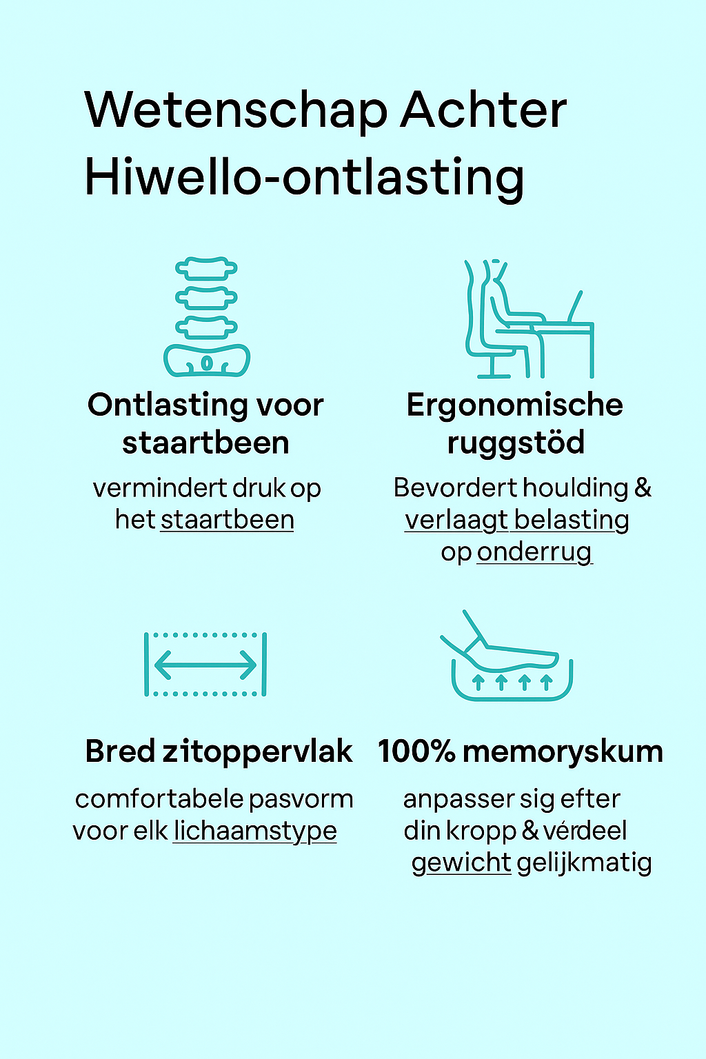Comfort Zitkussen