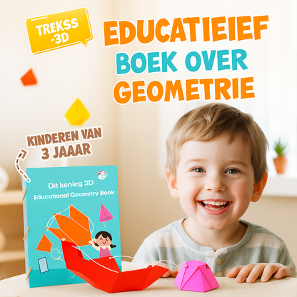 Speelplezier Meetkunde Boek