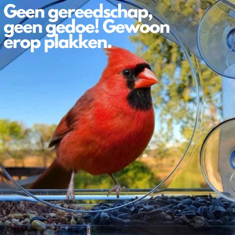 ViewNest | Vogelvoederhuisje voor aan het raam