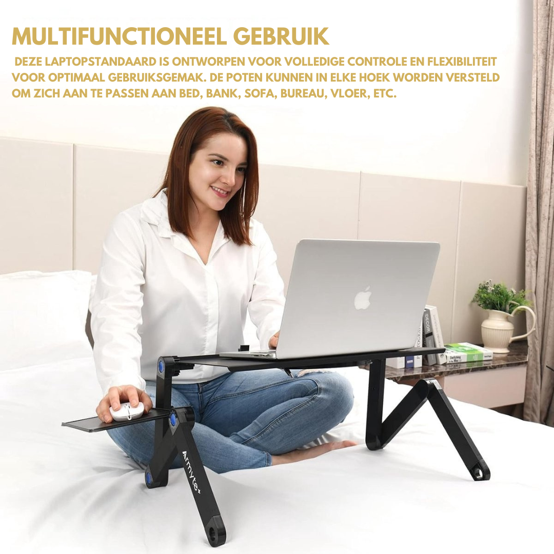 ErgoDesk Pro