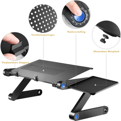 ErgoDesk Pro