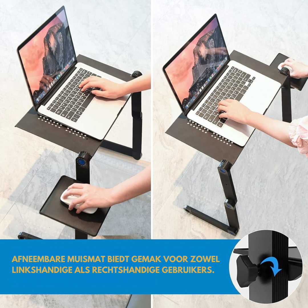 ErgoDesk Pro