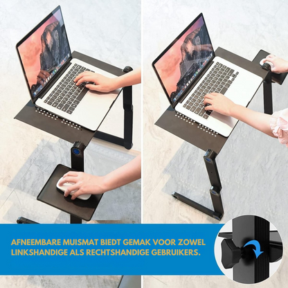 ErgoDesk Pro