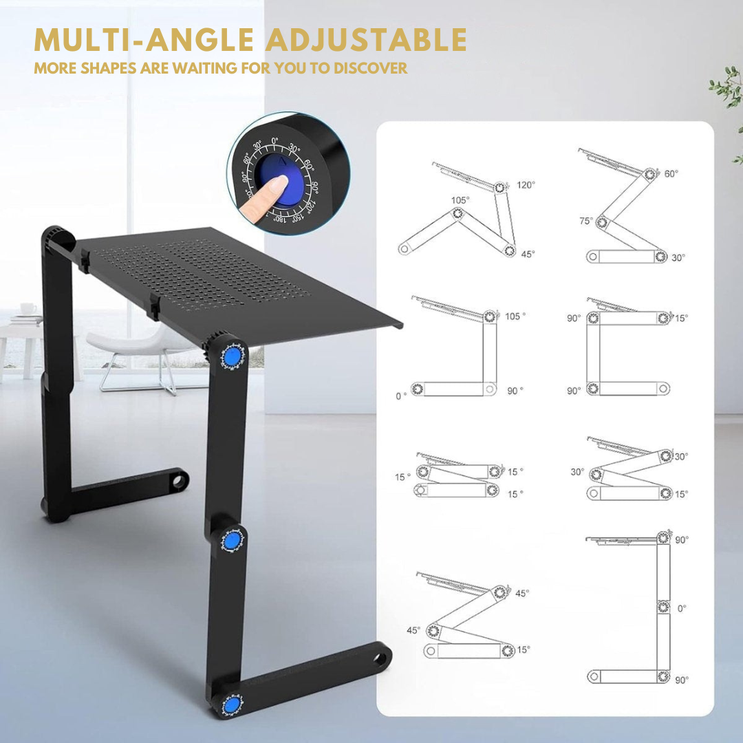 ErgoDesk Pro