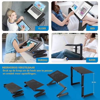 ErgoDesk Pro