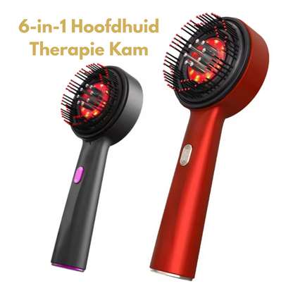 6-in-1 Hoofdhuid Therapie Kam