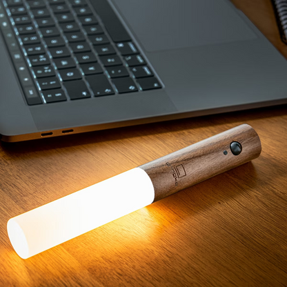 Moderne Torch Bewegingslicht