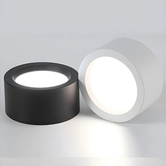 Noordse Stijl Eenvoudige Plafondlamp